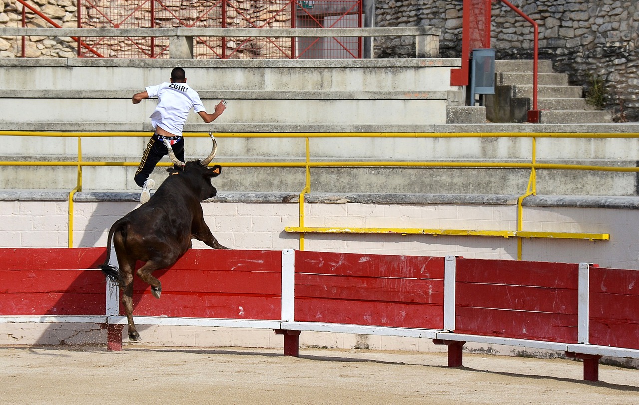 与吉尔吉斯