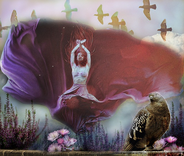 直播见证他 直播见证他