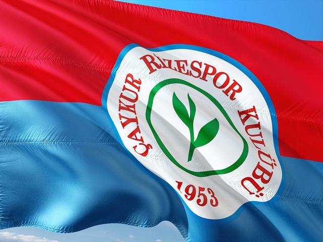 世界对中国 世界对中国