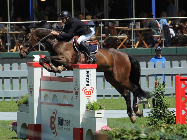 这笔交易绝 这笔交易绝